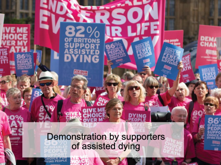 Demonstration by supporters of assisted dying