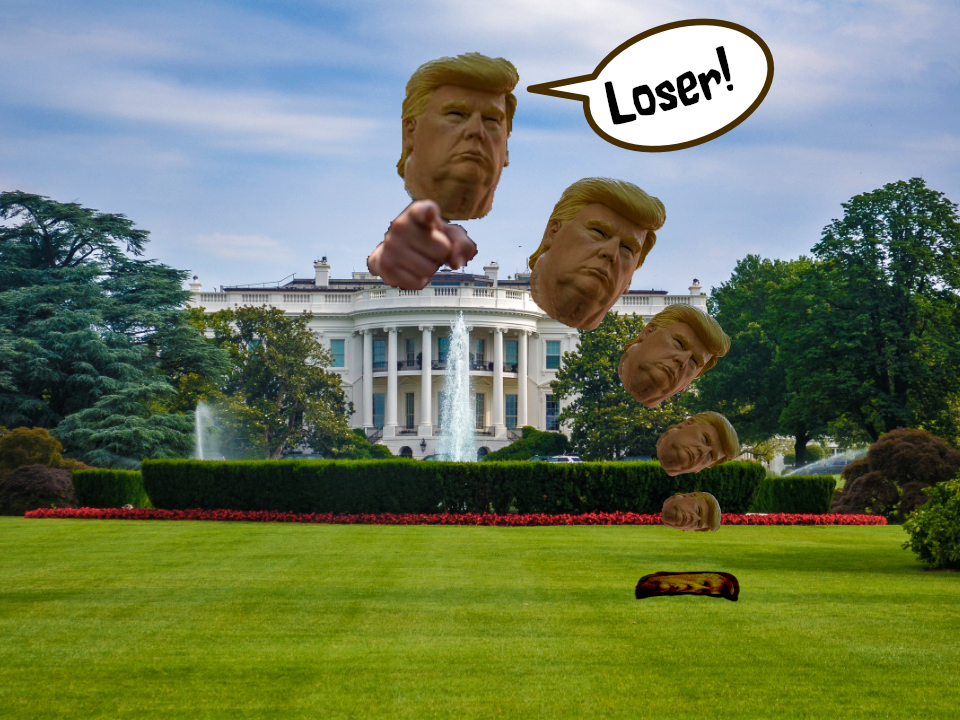 Donald Trump's head falling from the White House